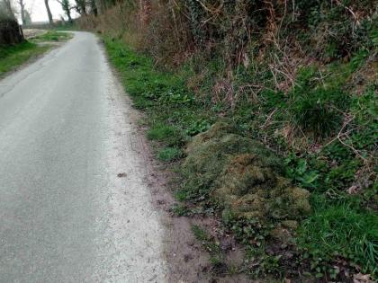 Dechets verts